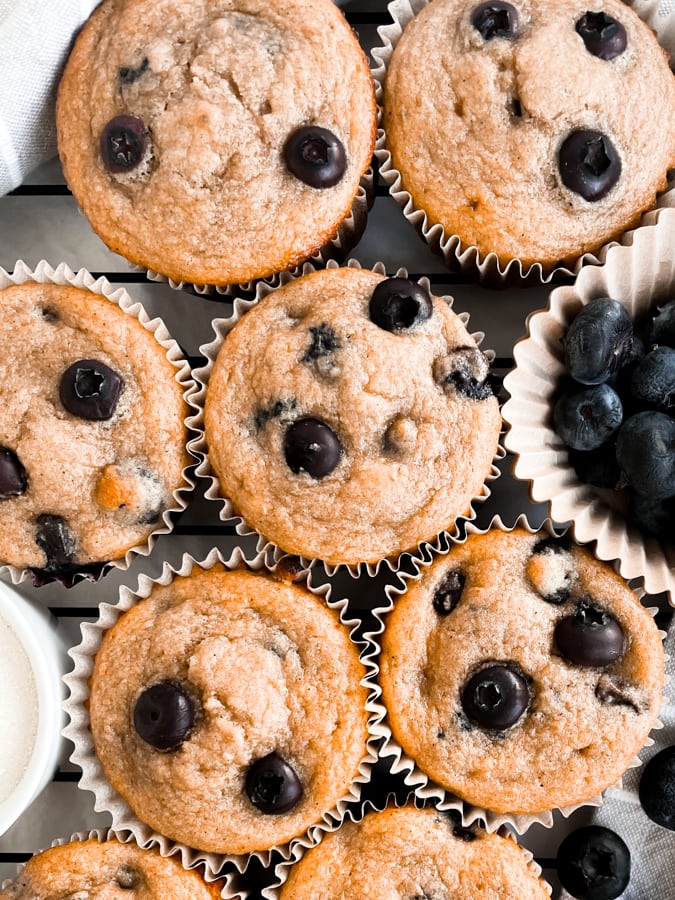 Blueberry Protein Muffins