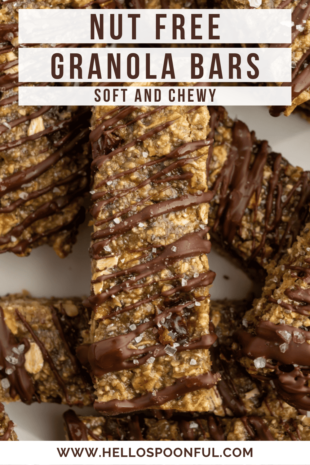 Thumbnail for Can Dogs Eat Chocolate Granola Bars With Nut Free Oats